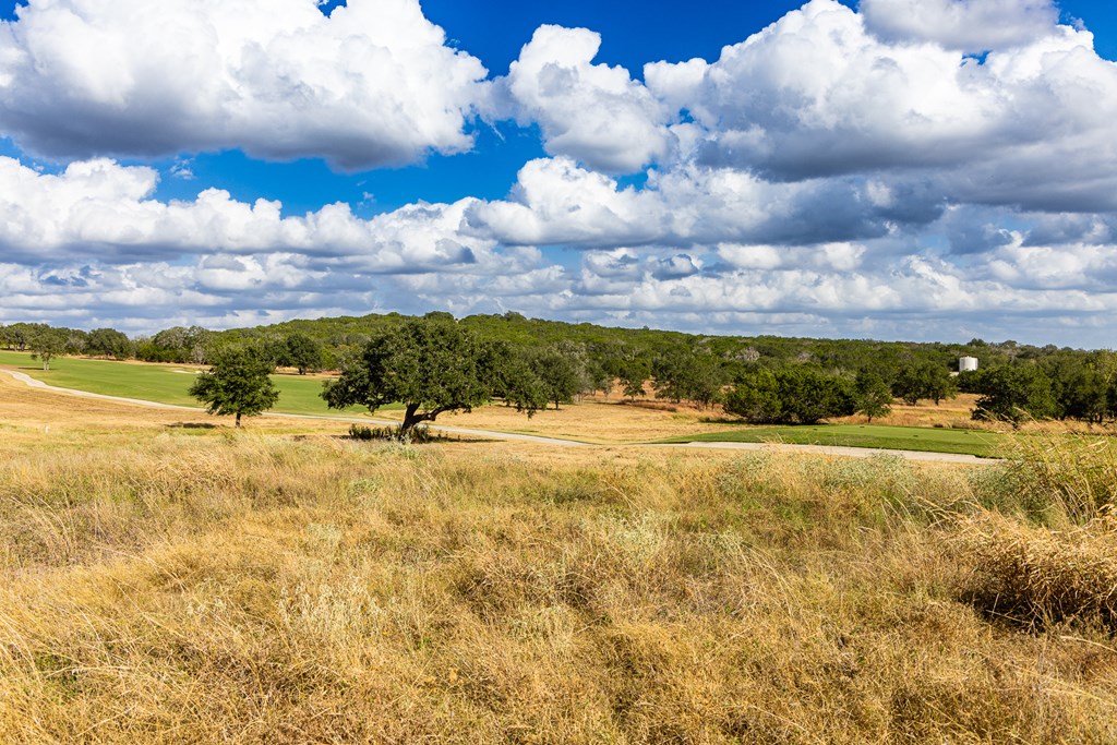 1036 Albatross Way East Kerrville, TX 78028 - Photo 5 of 9