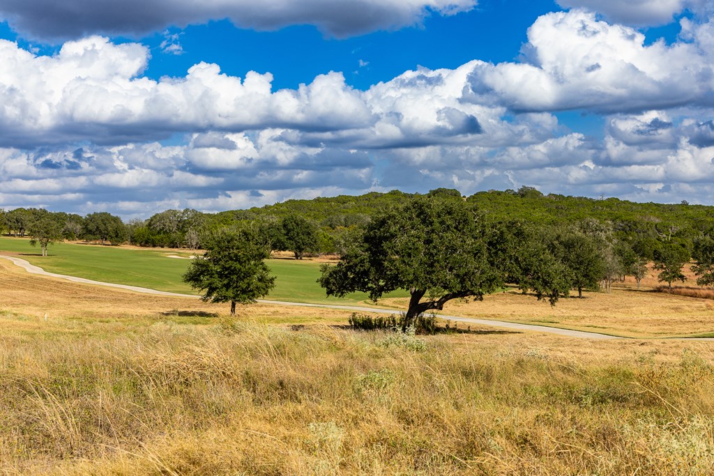 1036 Albatross Way East Kerrville, TX 78028 - Photo 6 of 9