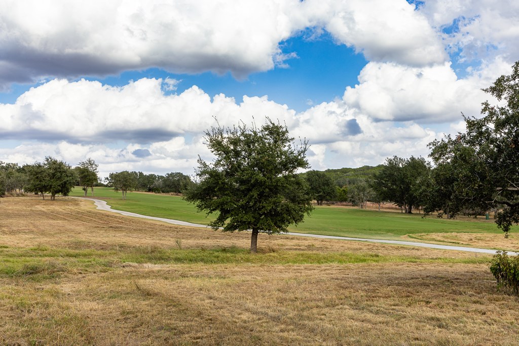 1036 Albatross Way East Kerrville, TX 78028 - Photo 9 of 9
