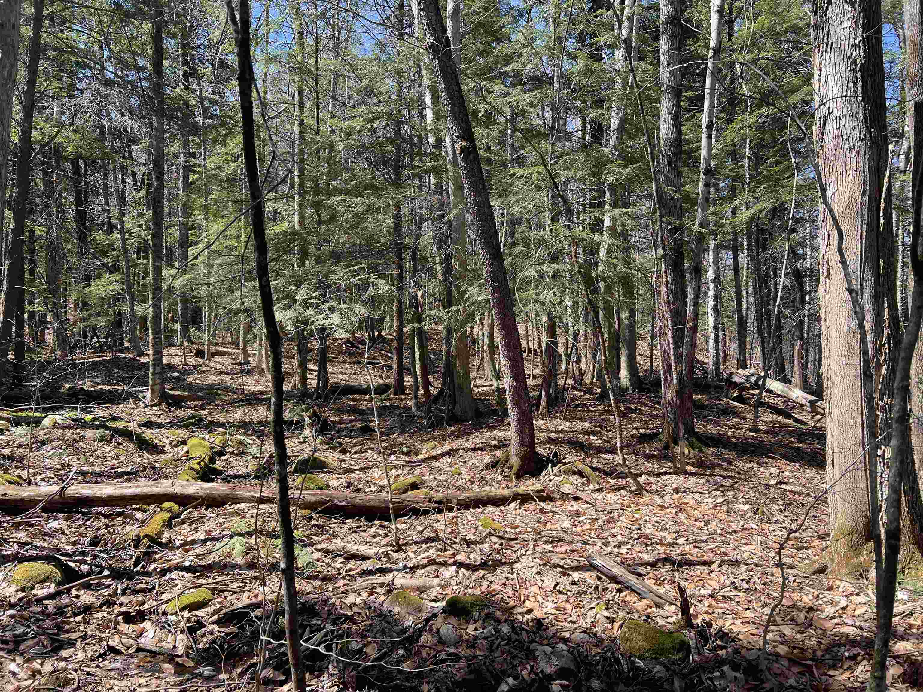 0 Hall Farm Road, Unit 8 New London, NH 03257 - Photo 6 of 6 Gallery Image 6