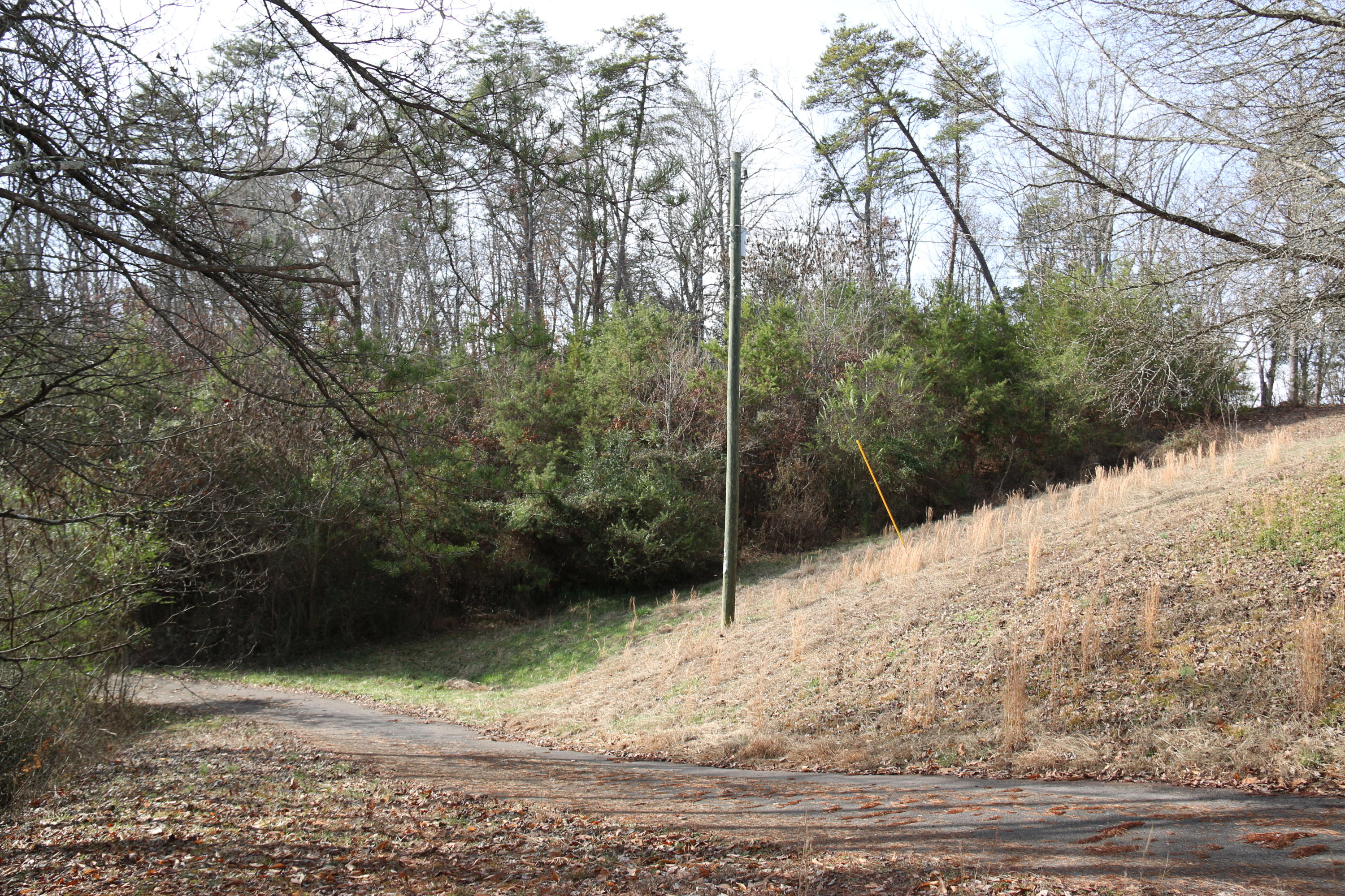 921 Deaderick Road Knoxville, TN 37920 - Photo 28 of 40 IMG_4088