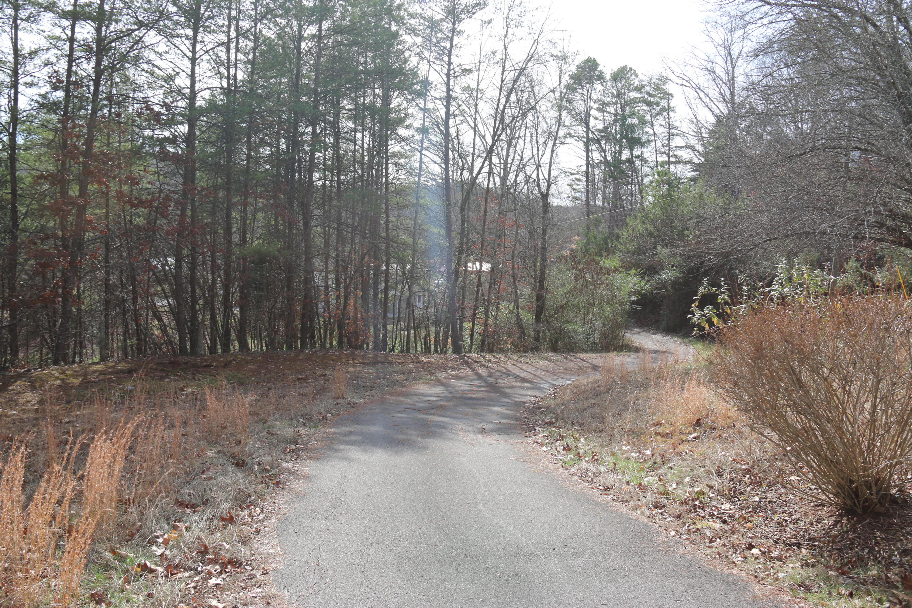 921 Deaderick Road Knoxville, TN 37920 - Photo 30 of 40 IMG_4084