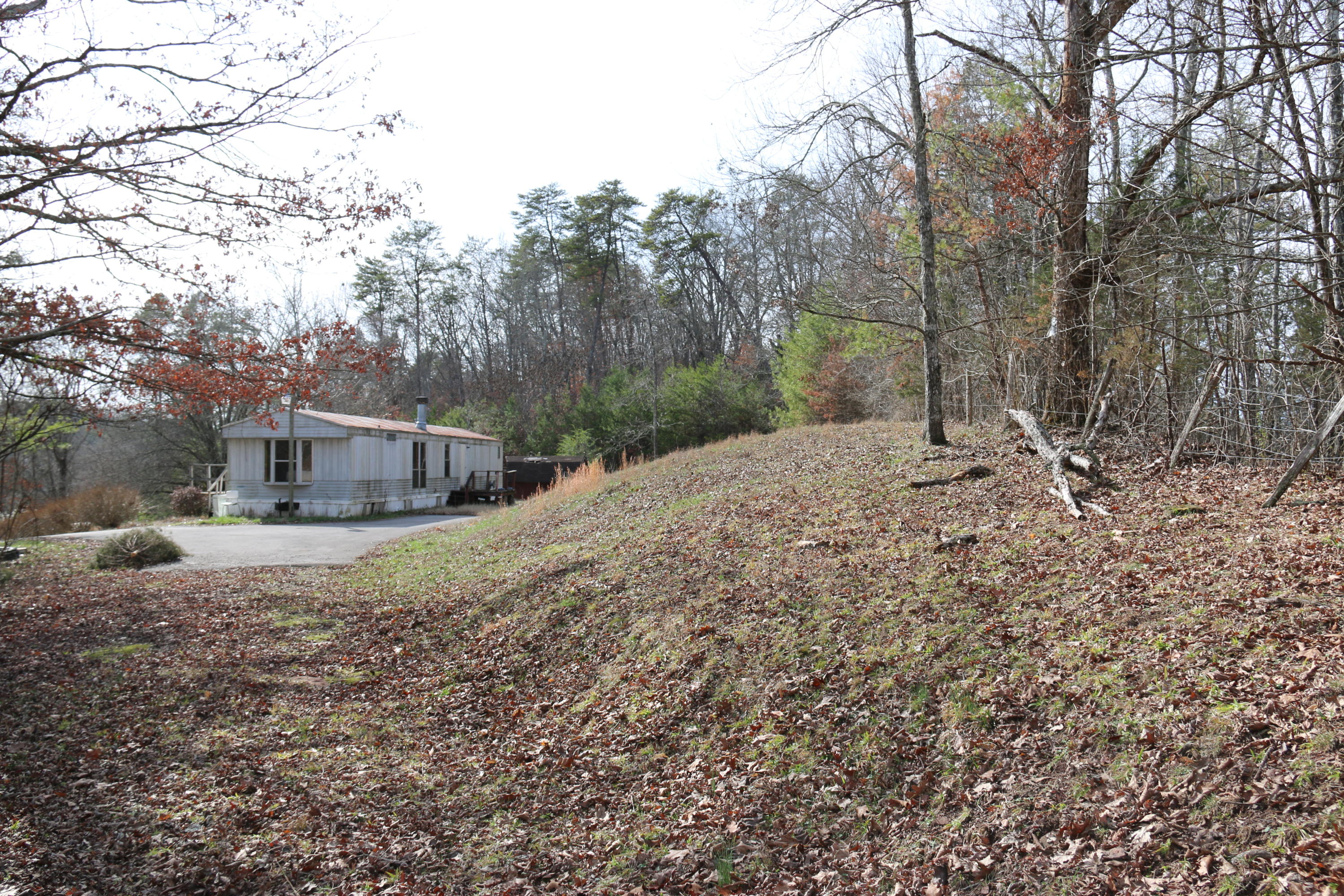 921 Deaderick Road Knoxville, TN 37920 - Photo 32 of 40 IMG_4081