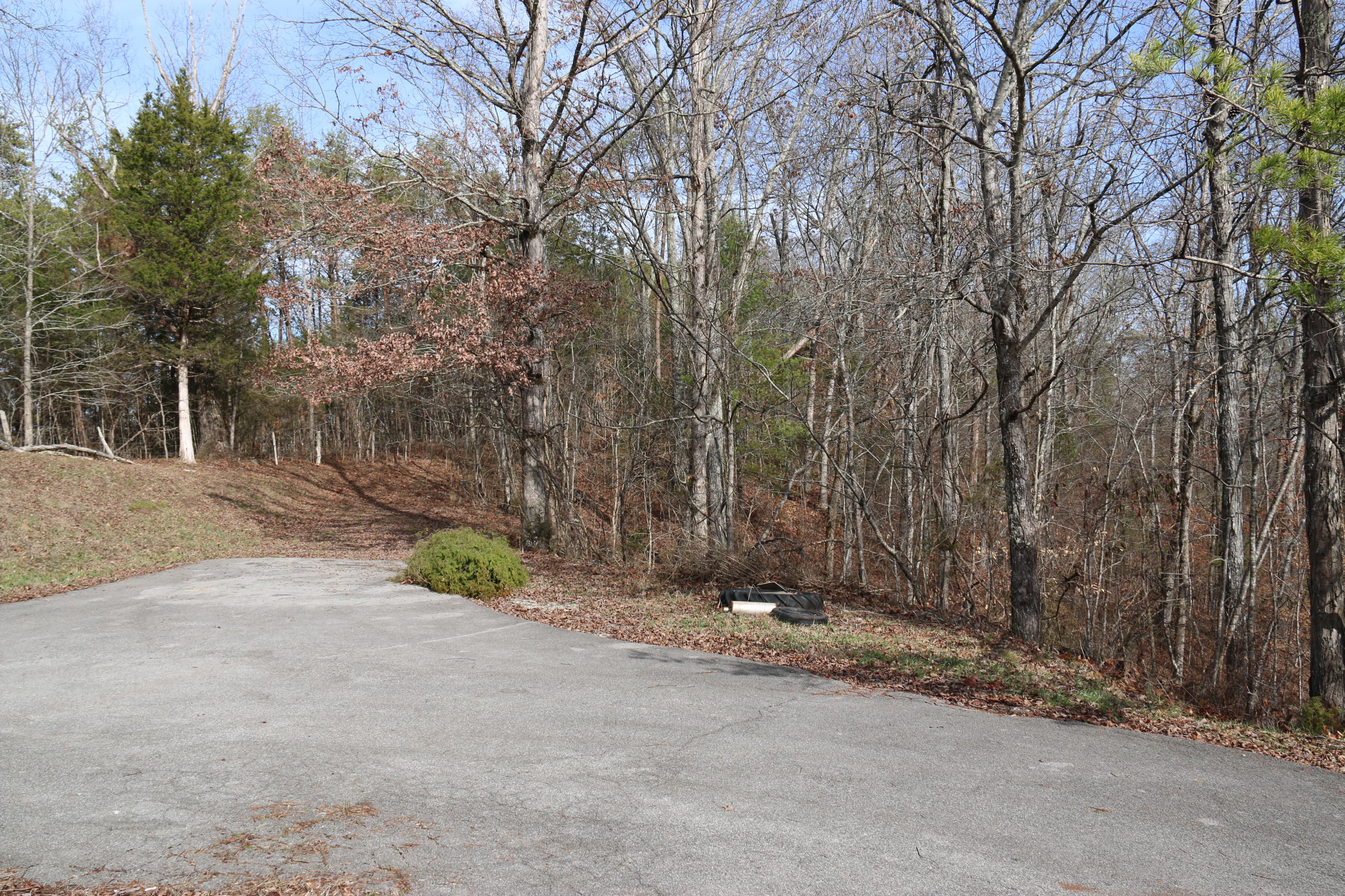 921 Deaderick Road Knoxville, TN 37920 - Photo 35 of 40 IMG_4076