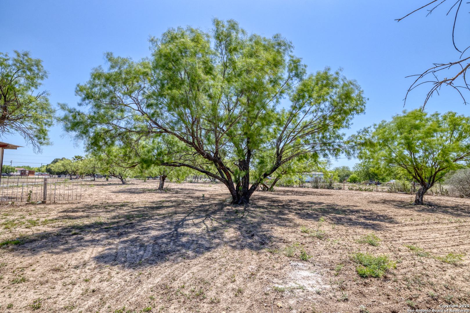 1390 Windmill Road Uvalde, TX 78801 - Photo 25 of 44 a view of a yard with plants and trees