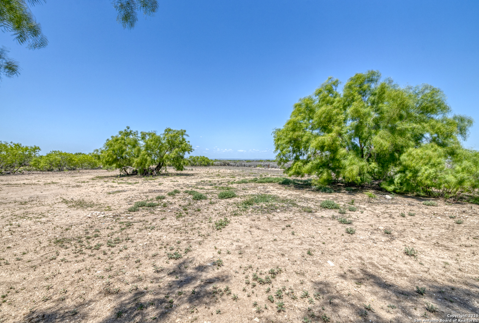 1390 Windmill Road Uvalde, TX 78801 - Photo 28 of 44 a view of a garden