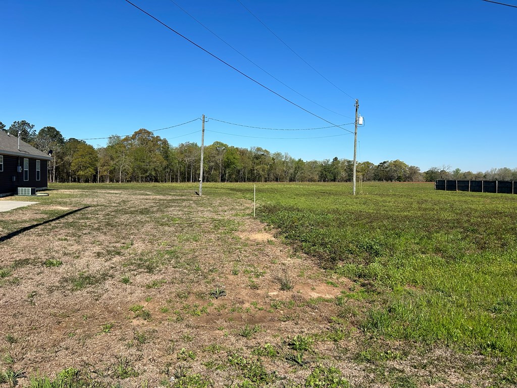 16.14-ac Lees Bridge Road Midland City, AL 36350 - Photo 15 of 28