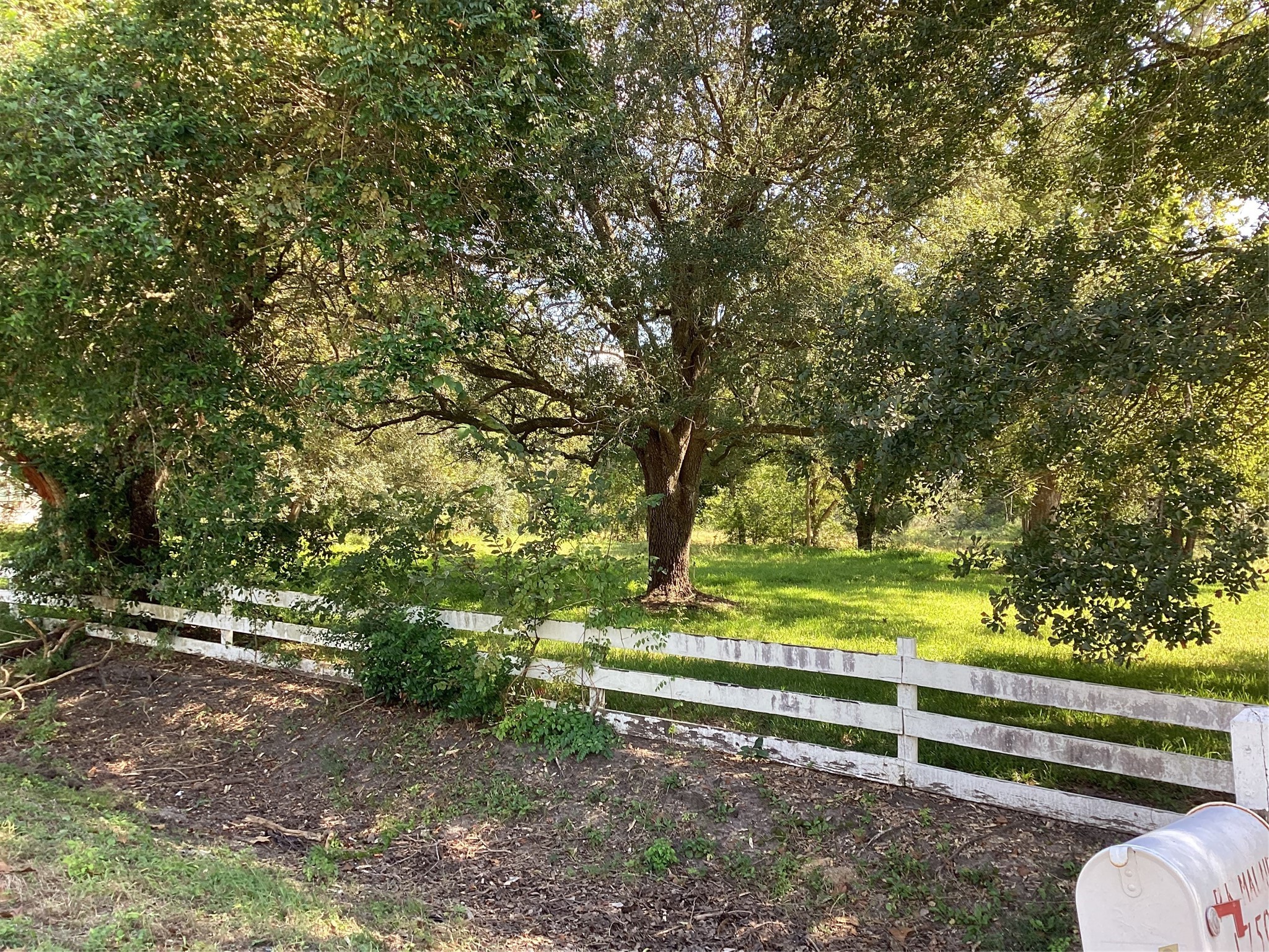 17503 Algoa Road Alvin, TX 77511 - Photo 14 of 14