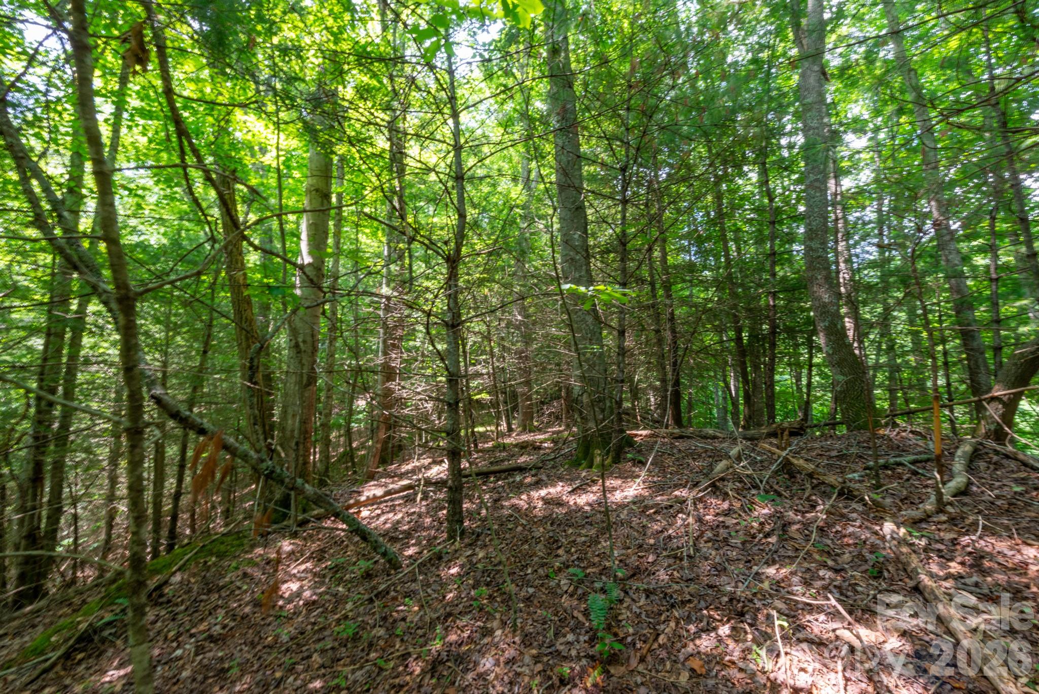### Board Tree Road, Unit 6 Marshall, NC 28753 - Photo 1 of 13 a view of outdoor space and green space