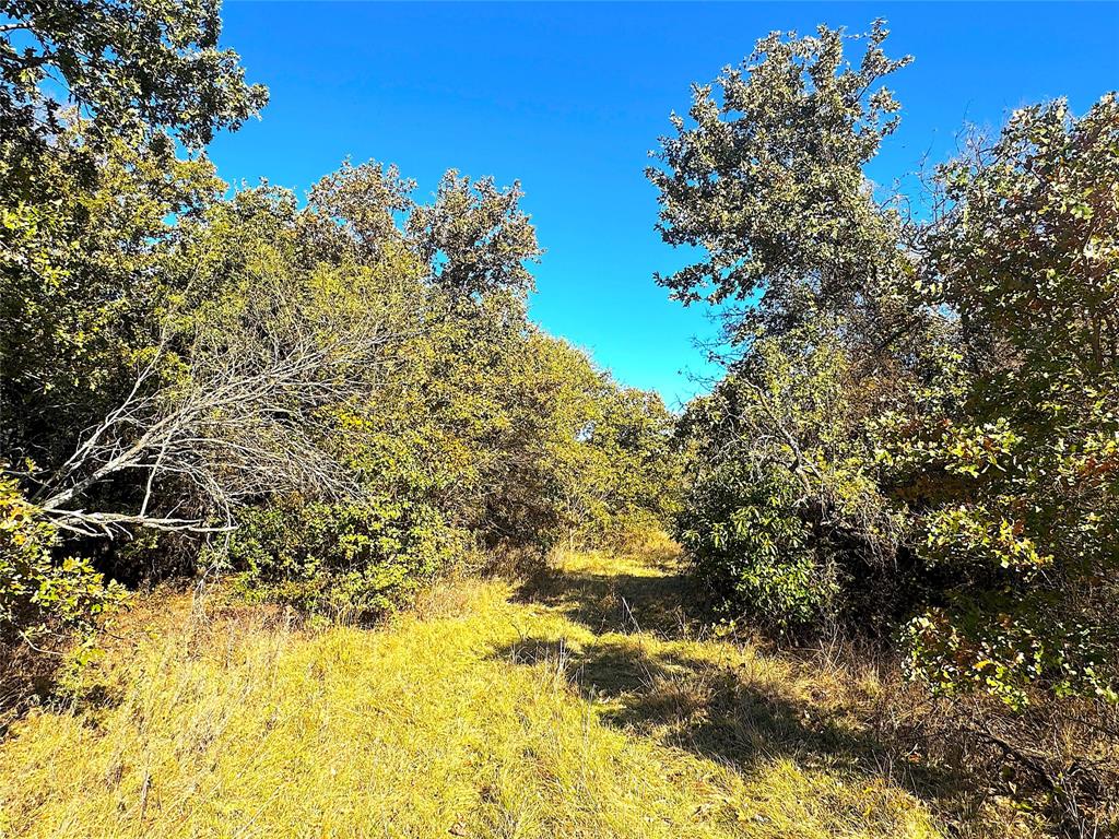 1849 2 Bush Road Perrin, TX 76486 - Photo 12 of 40