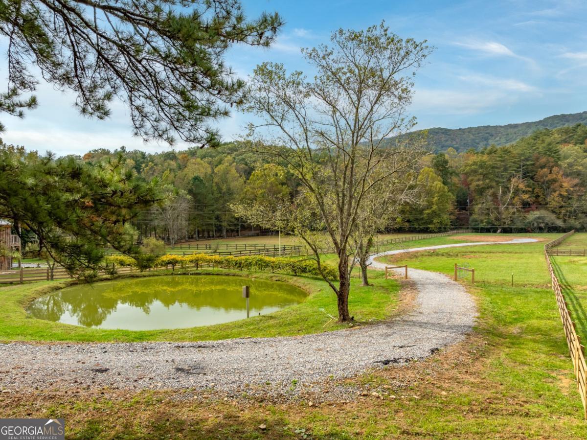 a view of a swimming pool with a yard