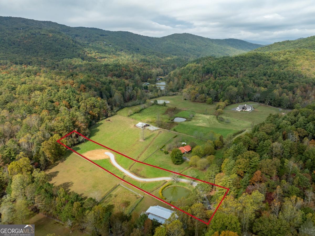 2673 Tails Creek Church Road Ellijay, GA 30540 - Photo 11 of 23 a view of a forest with mountains in the background