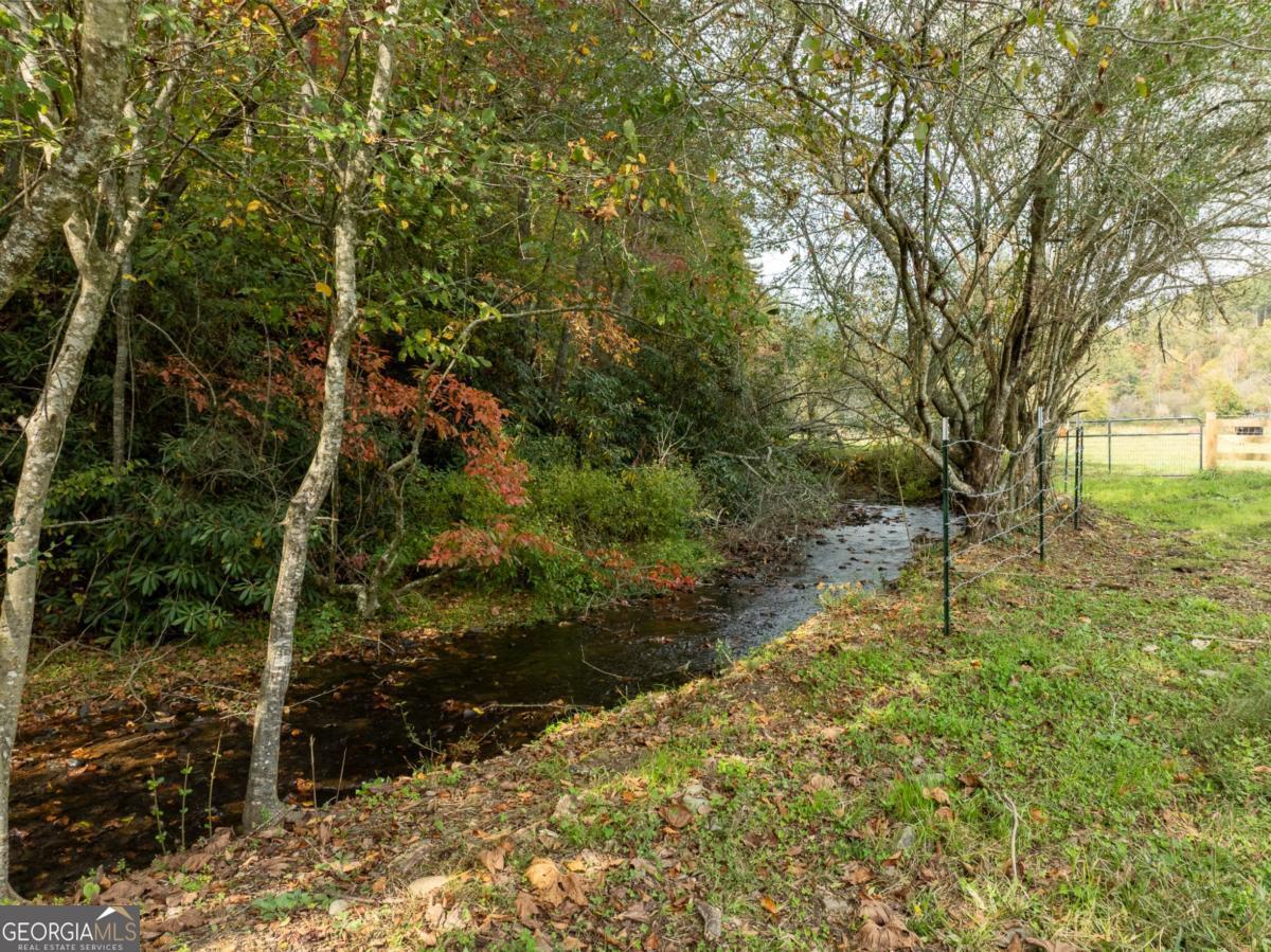 2673 Tails Creek Church Road Ellijay, GA 30540 - Photo 2 of 23 a view of yard