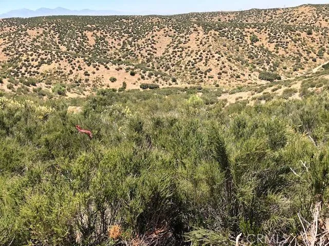 0 Dukes Country Road Hesperia, CA 92345 - Photo 14 of 15