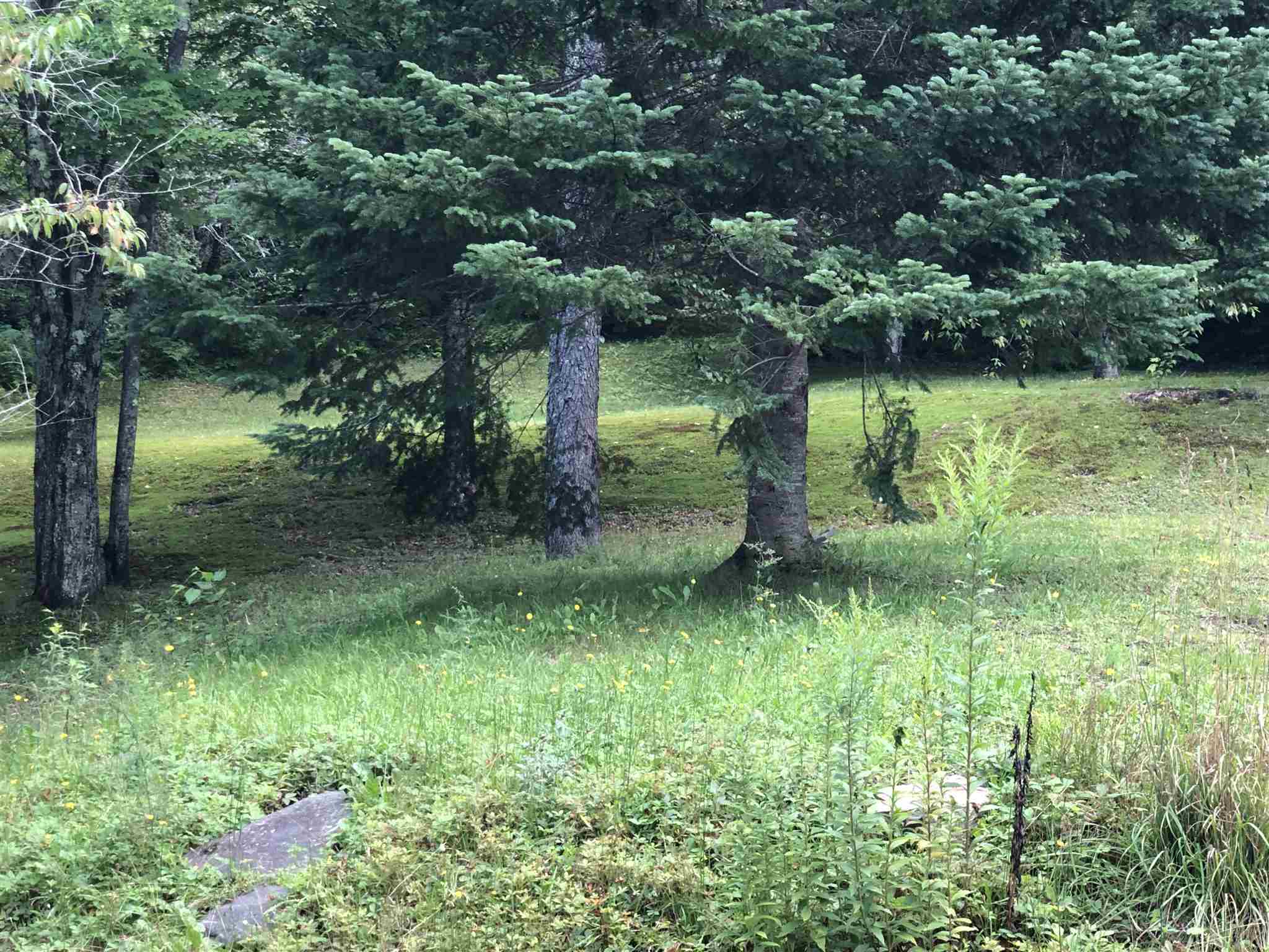 90 Bog Road Belvidere, VT 05442 - Photo 11 of 27 Gallery Image 11