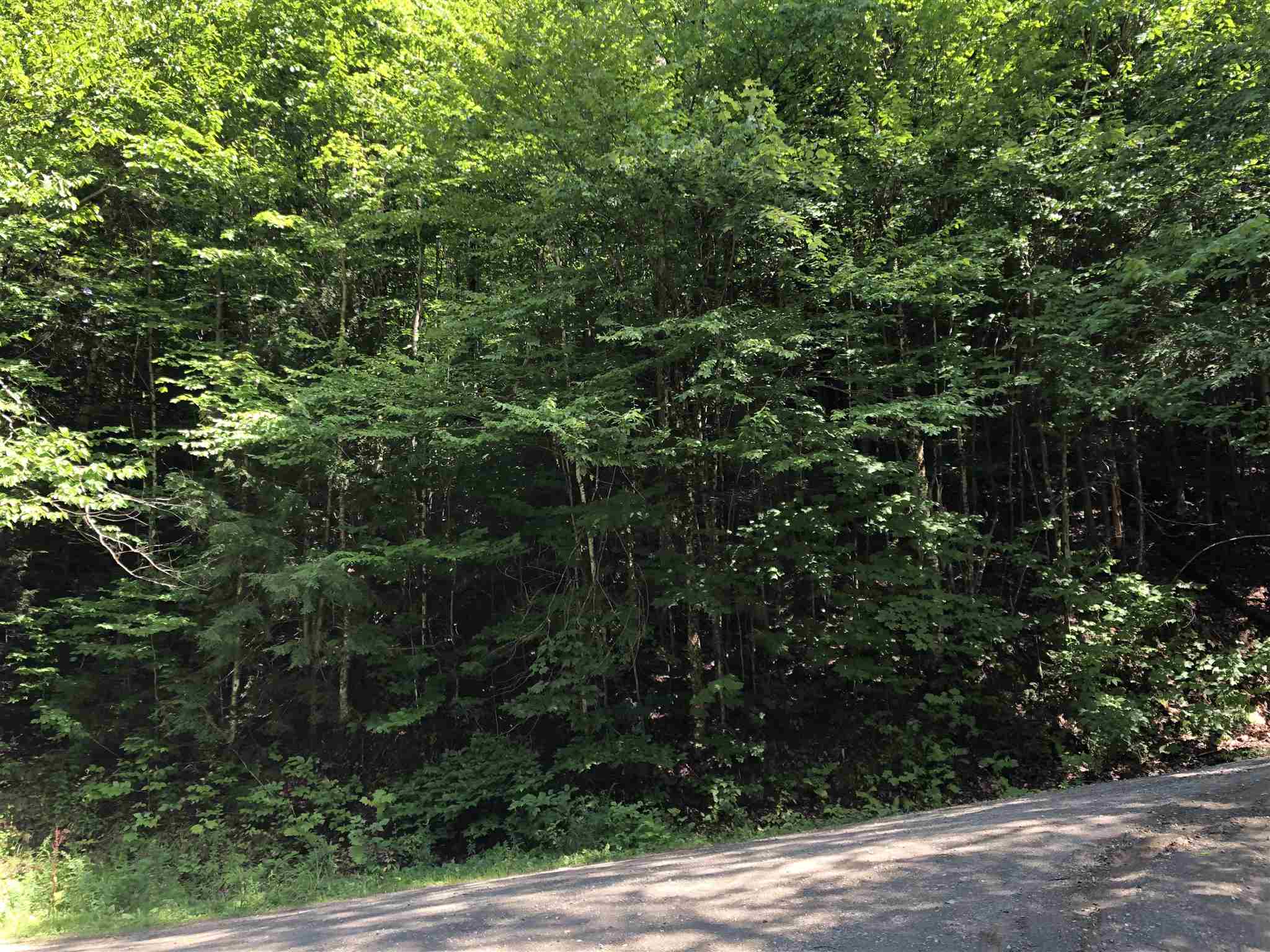90 Bog Road Belvidere, VT 05442 - Photo 21 of 27 Gallery Image 21