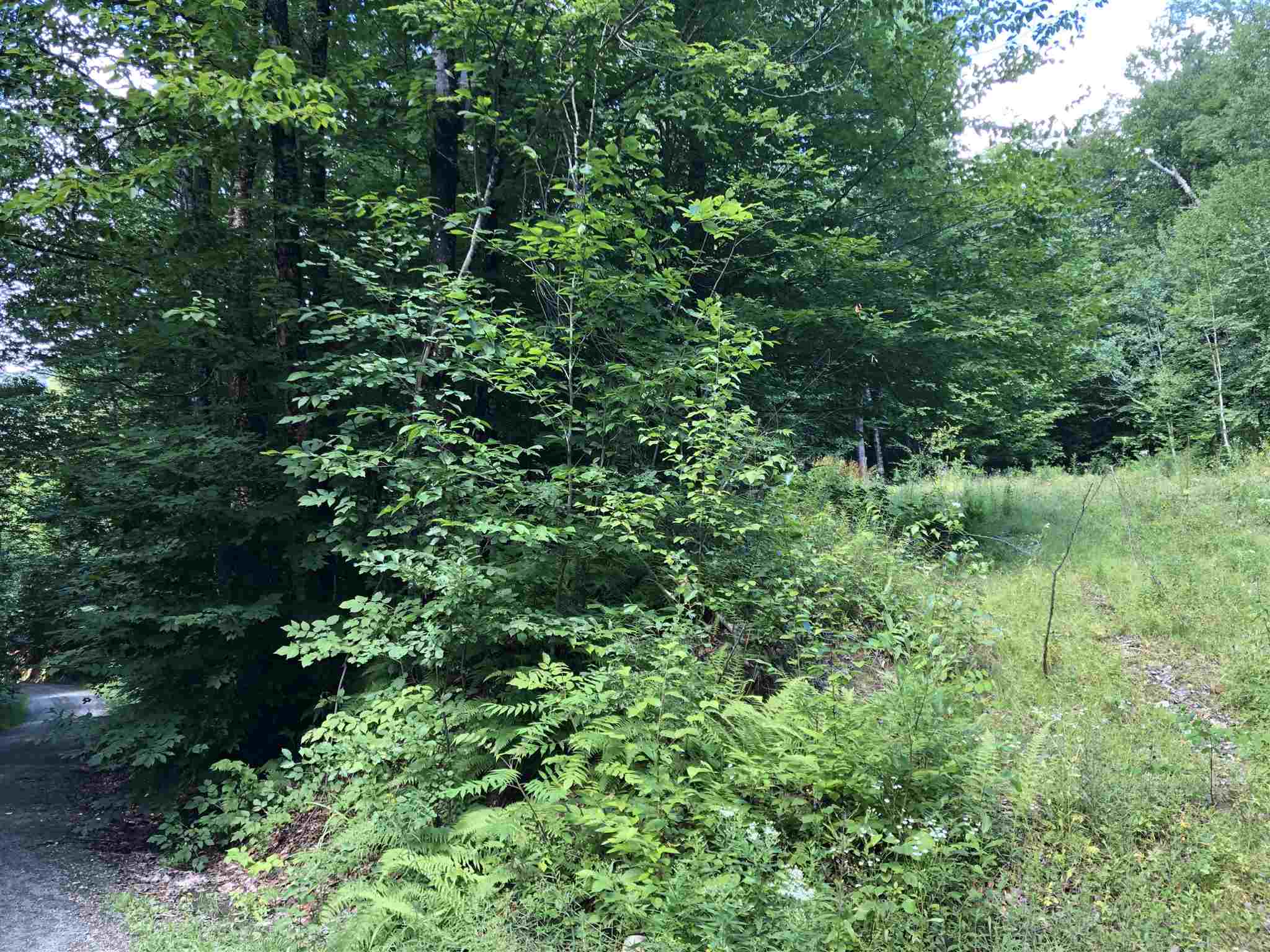 90 Bog Road Belvidere, VT 05442 - Photo 27 of 27 Gallery Image 27