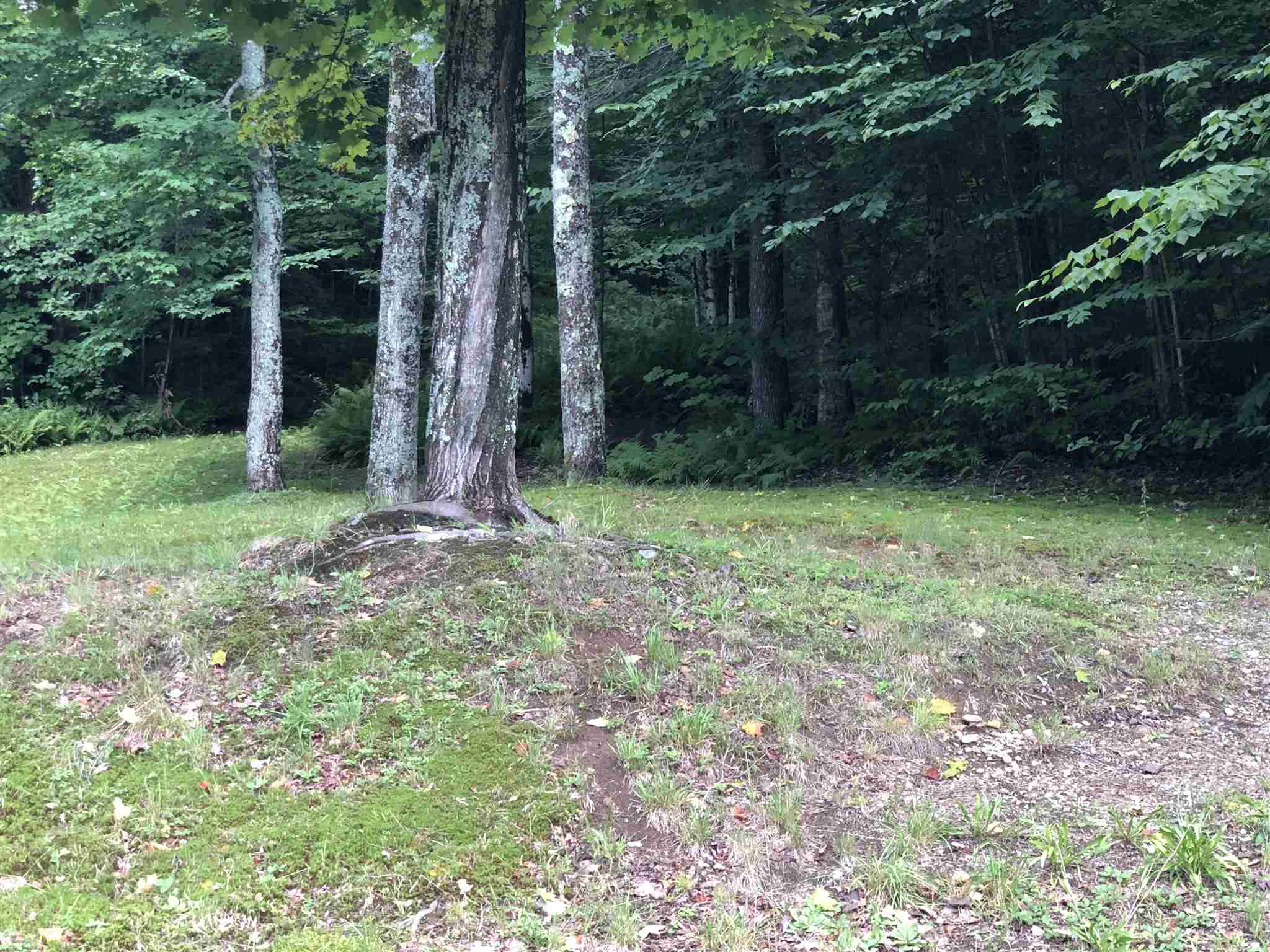 90 Bog Road Belvidere, VT 05442 - Photo 8 of 27 Gallery Image 8