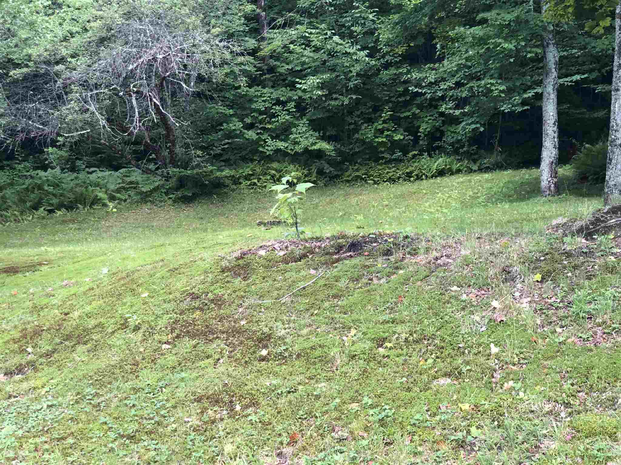 90 Bog Road Belvidere, VT 05442 - Photo 9 of 27 Gallery Image 9