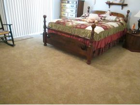 1086 Paul Bacon Road Jonesborough, TN 37659 - Photo 13 of 24 New carpet