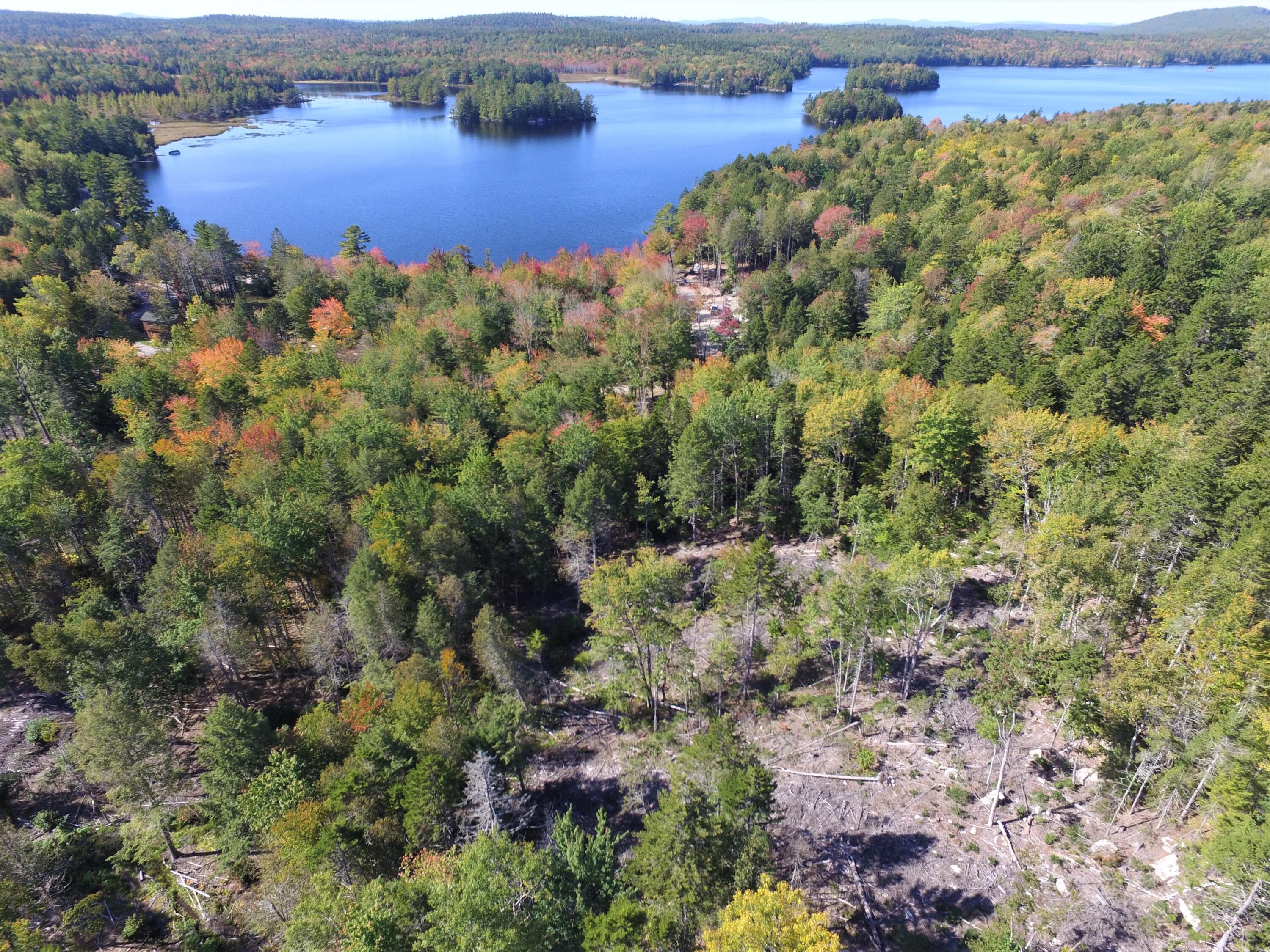 181-209 Flanders Pond Road Sullivan, ME 04664 - Photo 15 of 16 View of pond from above the lot