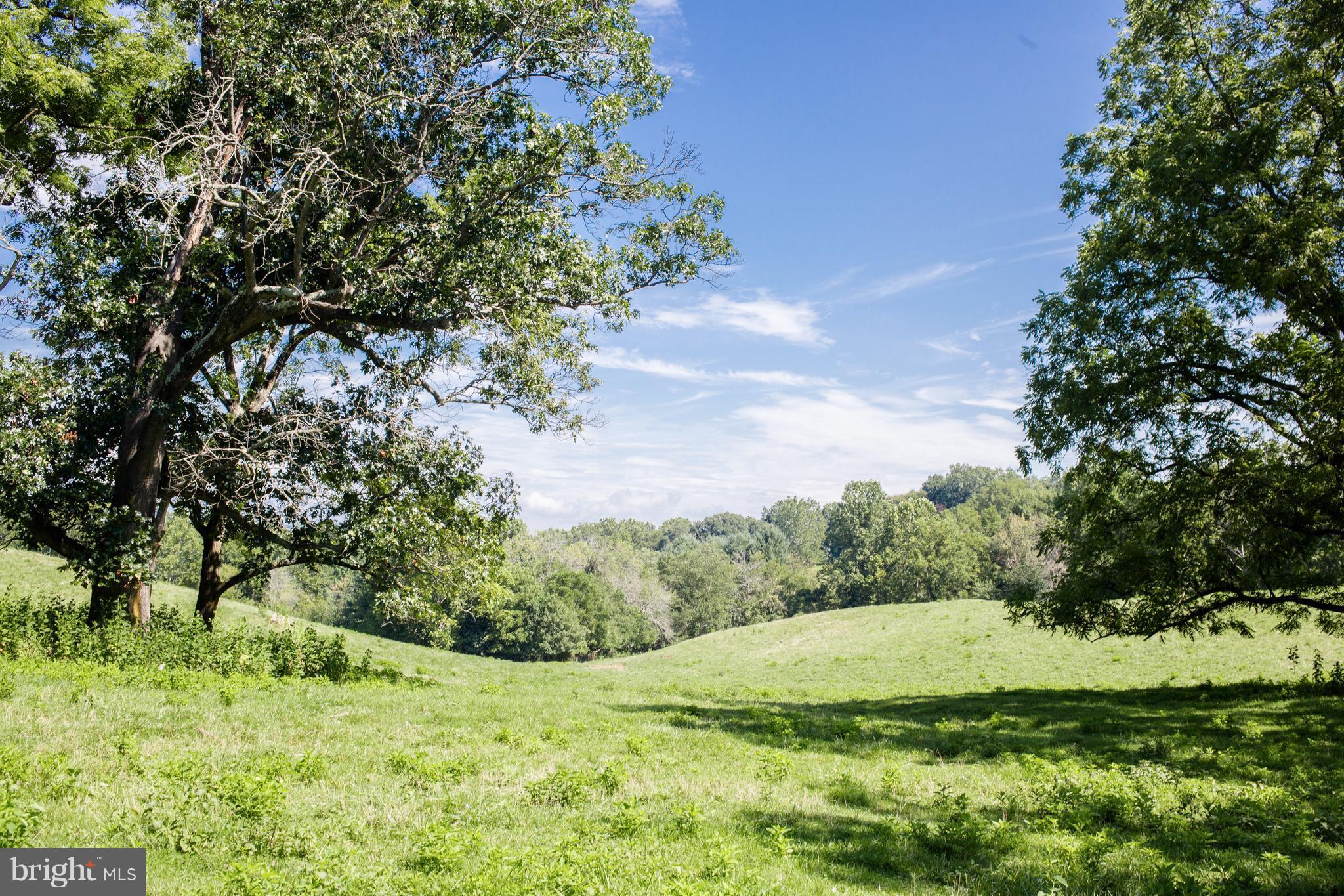 9370 Maidstone Road Delaplane, VA 20144 - Photo 1 of 5 View