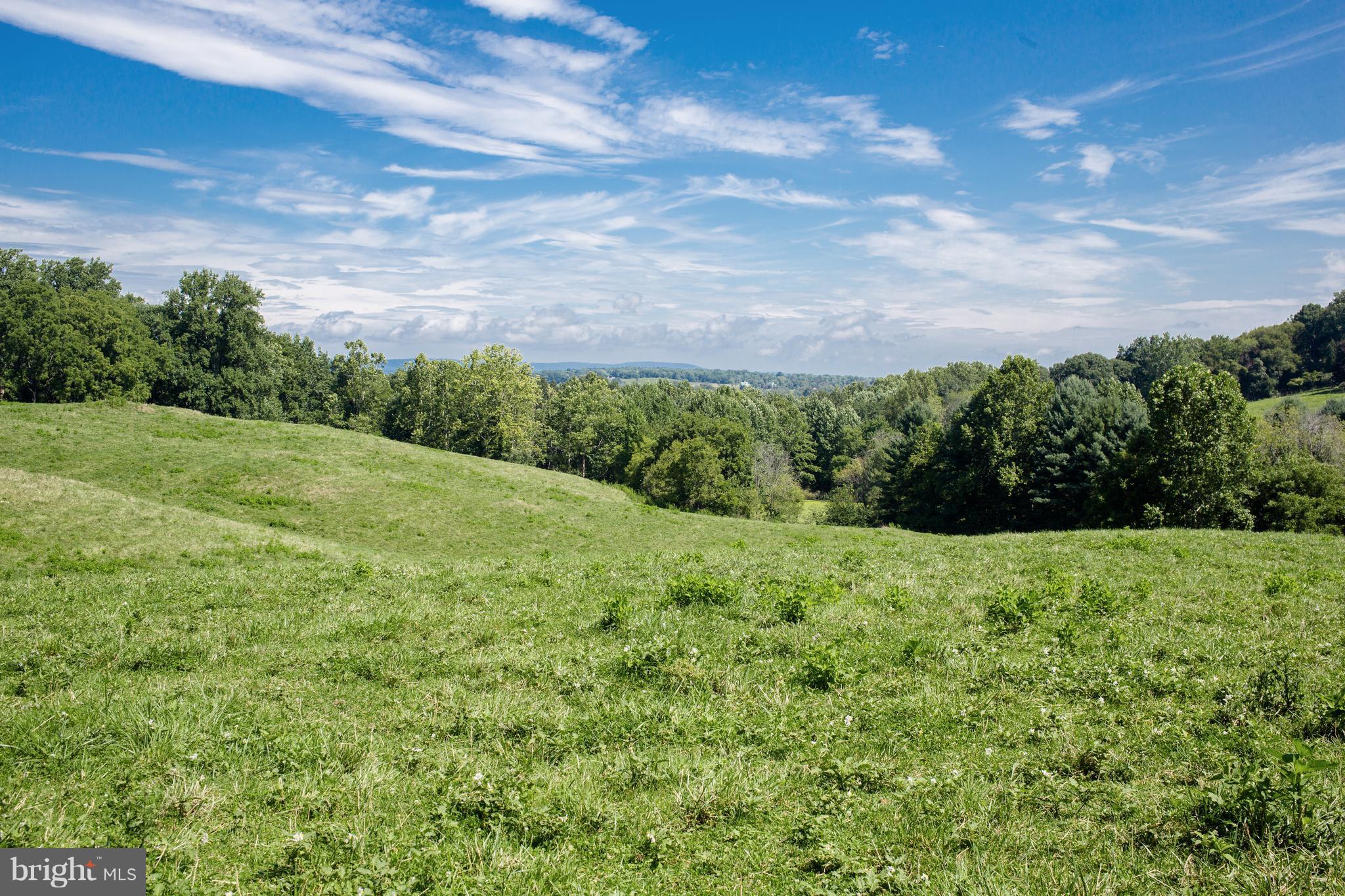 9370 Maidstone Road Delaplane, VA 20144 - Photo 3 of 5 View