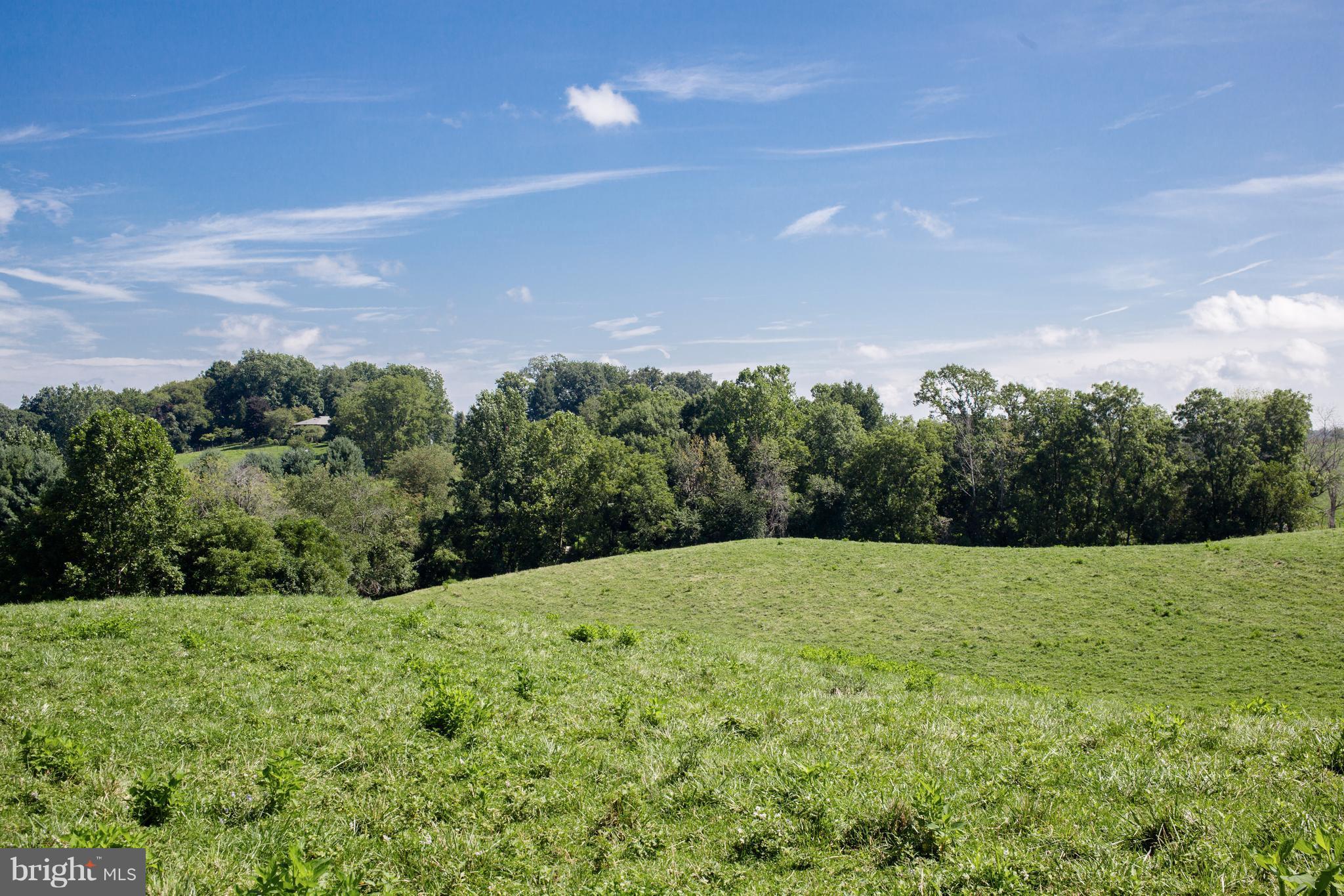 9370 Maidstone Road Delaplane, VA 20144 - Photo 4 of 5 View
