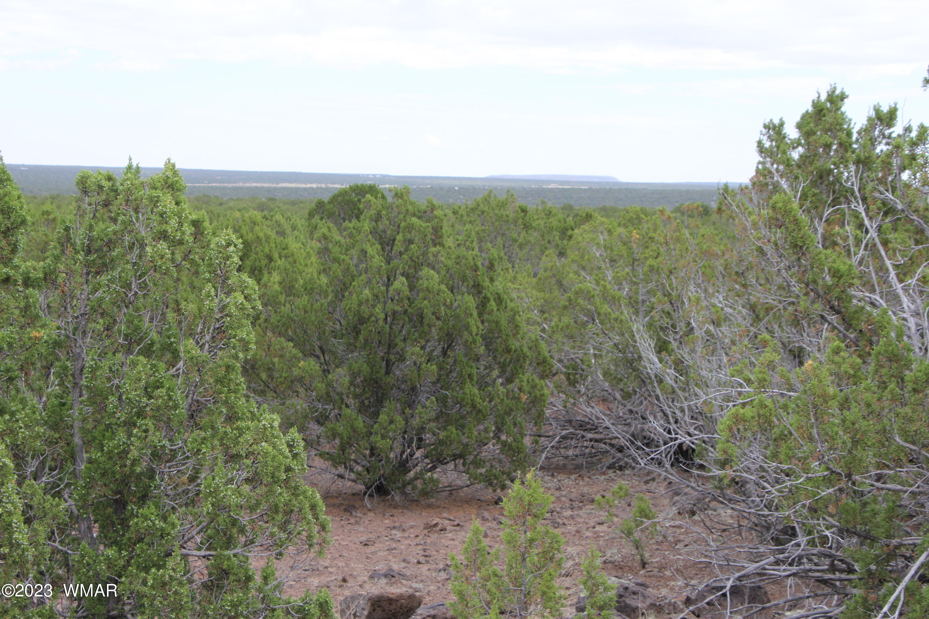 1320 Lodge Pole Road Show Low, AZ 85901 - Photo 1 of 1 Gallery Image 1