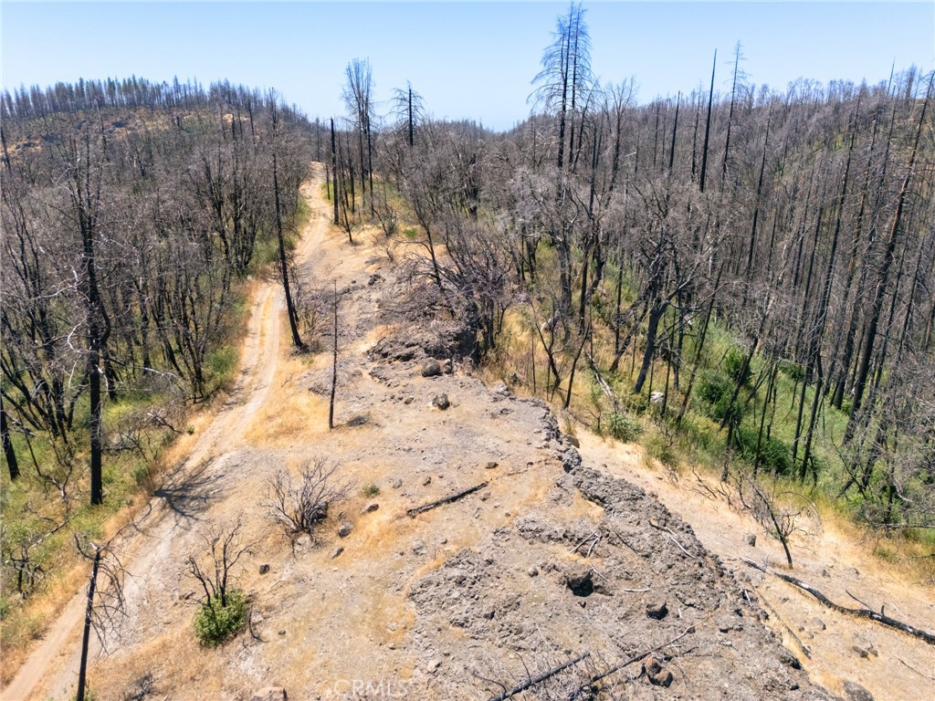 335 Mann And Nolta Ridge Chico, CA 95973 - Photo 6 of 25