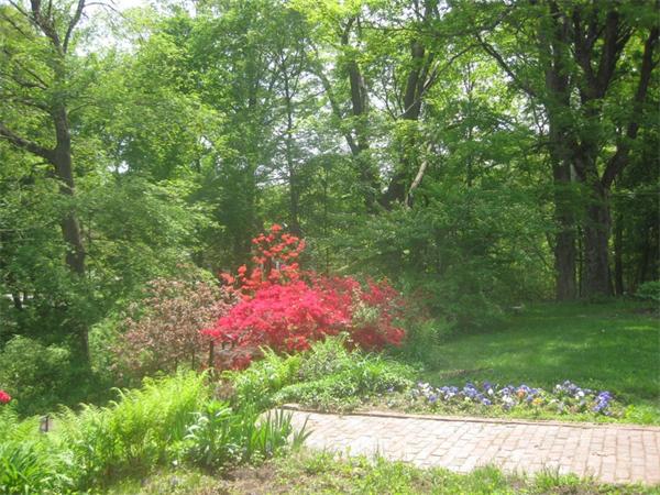 144 Nashoba Road Concord, MA 01742 - Photo 9 of 10 a view of a small yard
