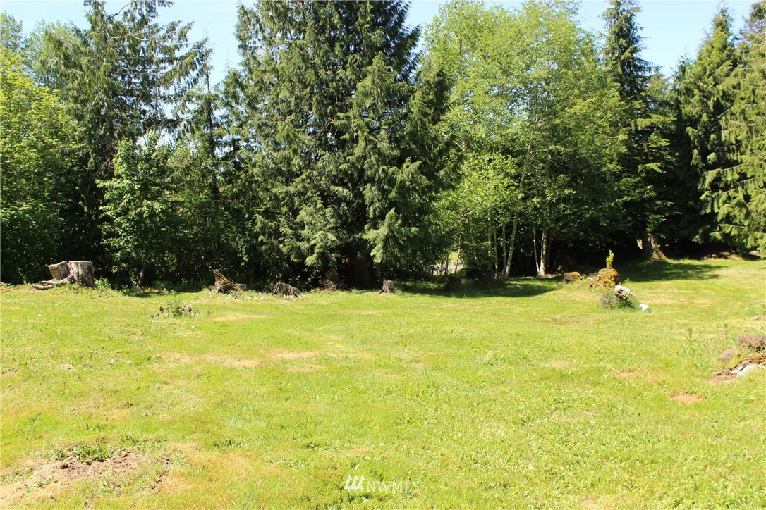 11 Elma McCleary Road McCleary, WA 98557 - Photo 1 of 17 Gallery Image 1