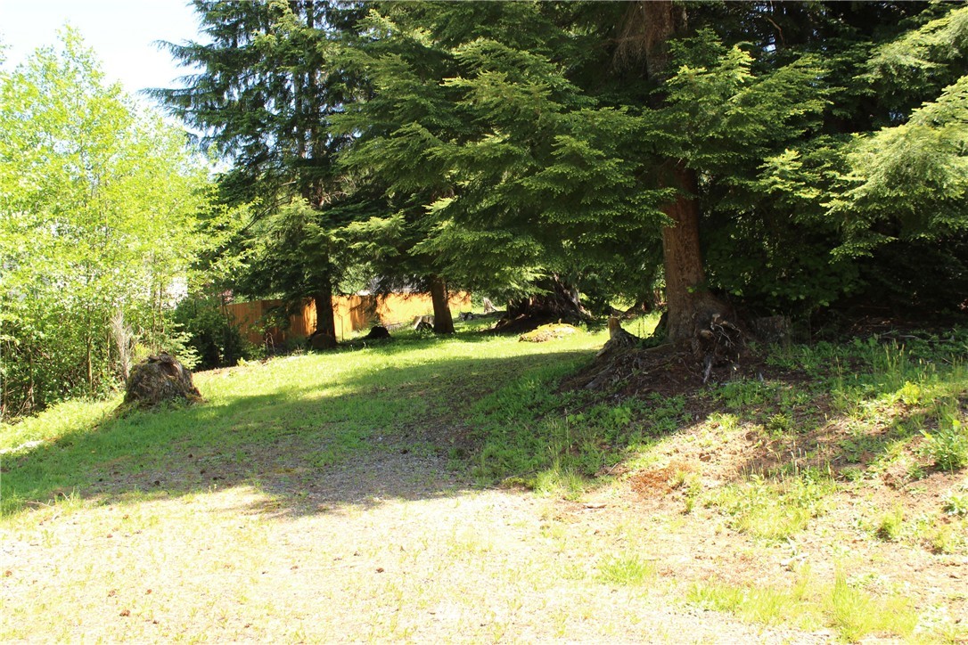 11 Elma McCleary Road McCleary, WA 98557 - Photo 2 of 17 Gallery Image 2