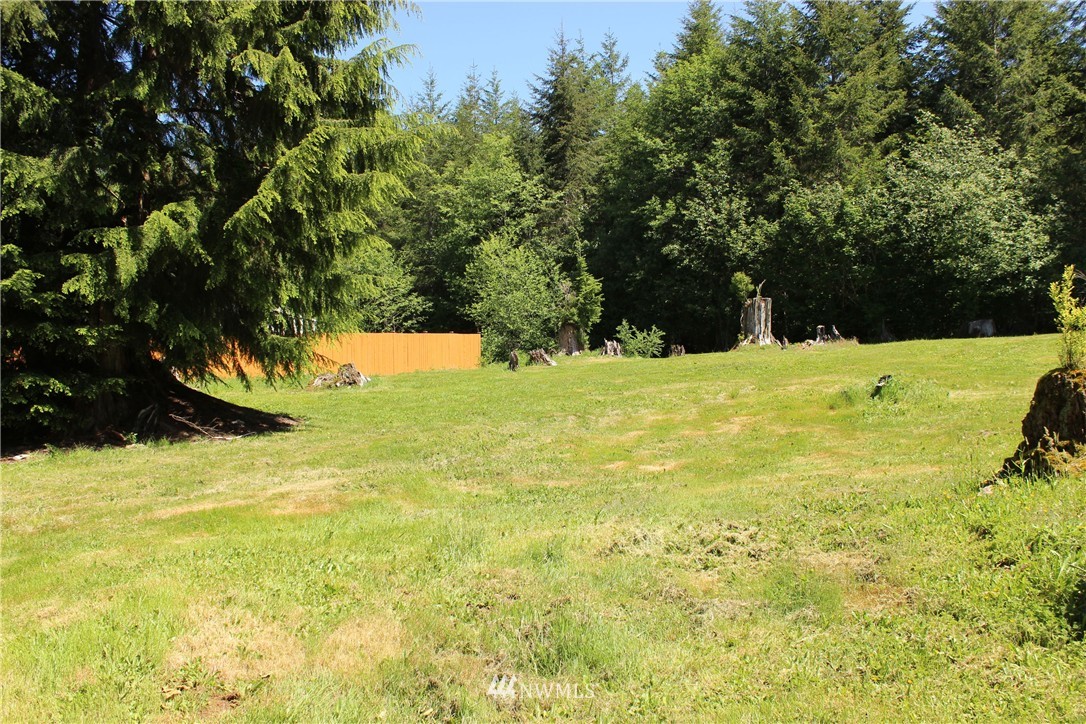 11 Elma McCleary Road McCleary, WA 98557 - Photo 11 of 17 Gallery Image 11