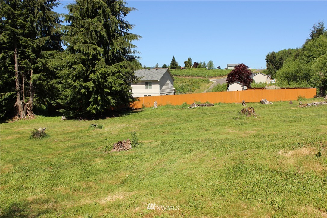 11 Elma McCleary Road McCleary, WA 98557 - Photo 13 of 17 Gallery Image 13