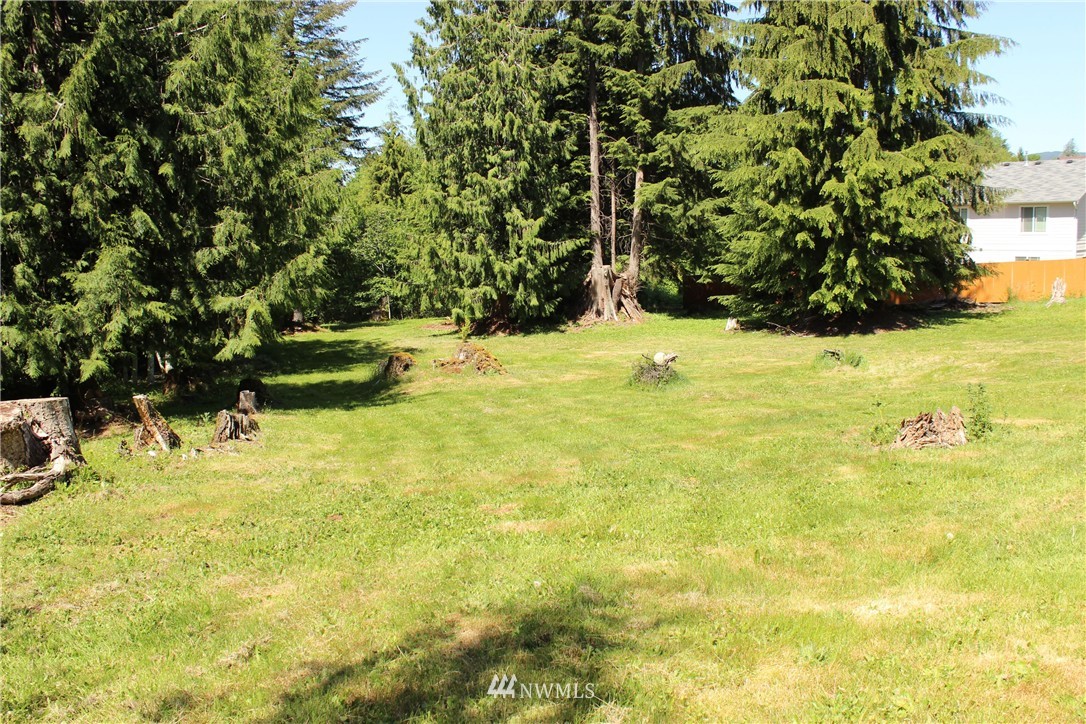11 Elma McCleary Road McCleary, WA 98557 - Photo 14 of 17 Gallery Image 14