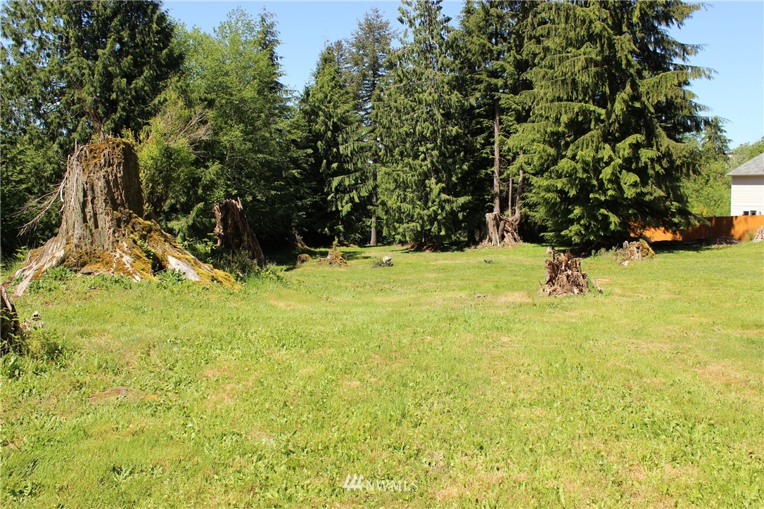 11 Elma McCleary Road McCleary, WA 98557 - Photo 15 of 17 Gallery Image 15
