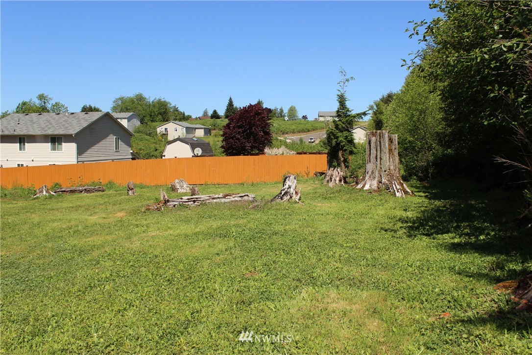11 Elma McCleary Road McCleary, WA 98557 - Photo 16 of 17 Gallery Image 16