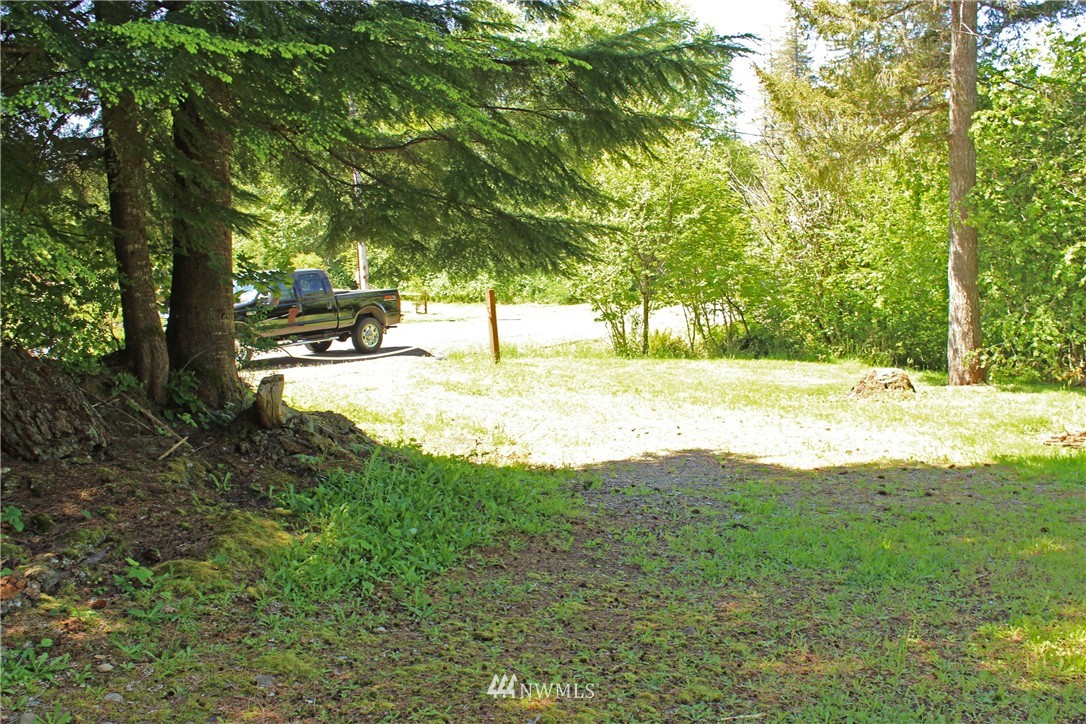 11 Elma McCleary Road McCleary, WA 98557 - Photo 3 of 17 Gallery Image 3