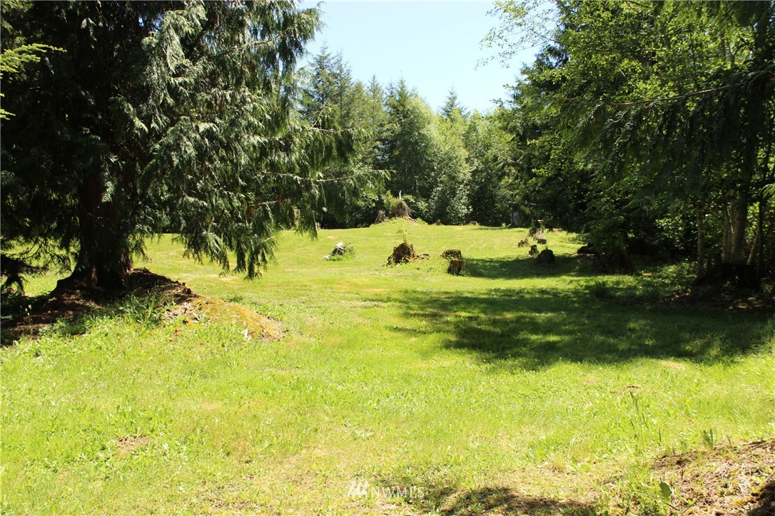 11 Elma McCleary Road McCleary, WA 98557 - Photo 6 of 17 Gallery Image 6