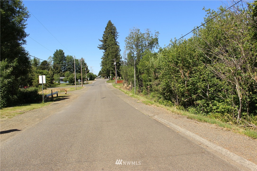 11 Elma McCleary Road McCleary, WA 98557 - Photo 10 of 17 Gallery Image 10