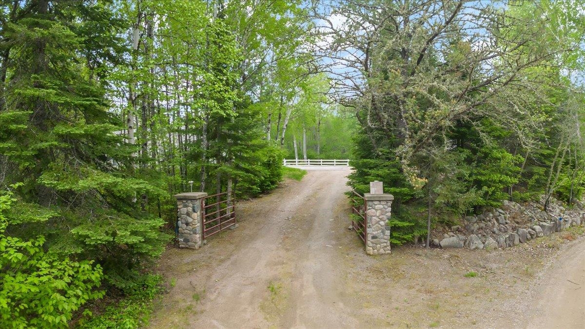 1317 Highway 21 North Ely, MN 55731 - Photo 6 of 36 View of road