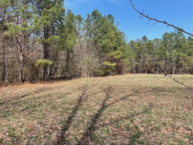 0 Southeast Johnson Road Cleveland, TN 37323 - Photo 11 of 23 Cleared area