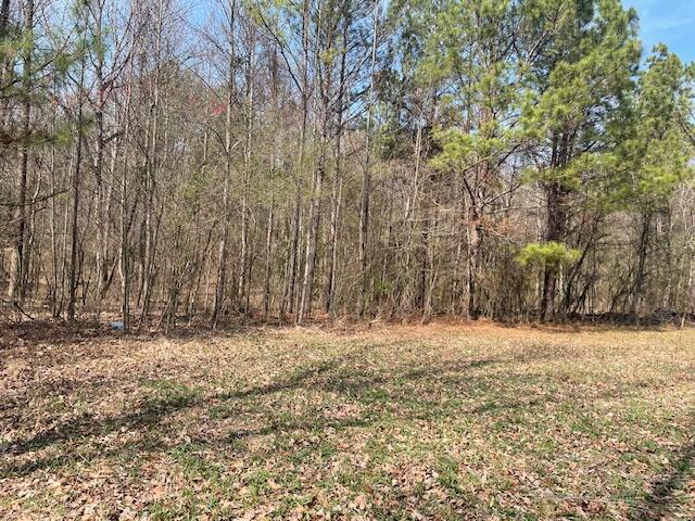 0 Southeast Johnson Road Cleveland, TN 37323 - Photo 12 of 23 Surrounded by trees