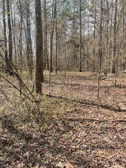 0 Southeast Johnson Road Cleveland, TN 37323 - Photo 13 of 23 Paths for walking/riding