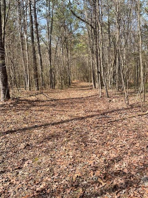 0 Southeast Johnson Road Cleveland, TN 37323 - Photo 14 of 23 ready for you!