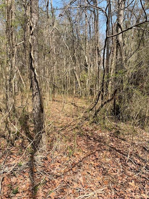 0 Southeast Johnson Road Cleveland, TN 37323 - Photo 15 of 23 some paths to explore