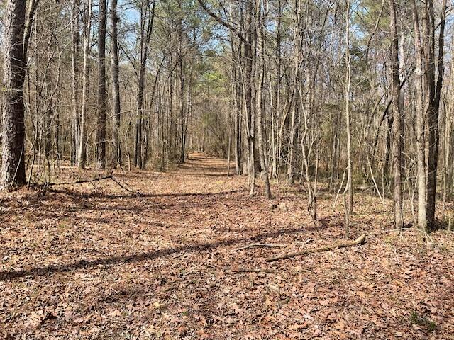 0 Southeast Johnson Road Cleveland, TN 37323 - Photo 16 of 23 Drive to seclusion.