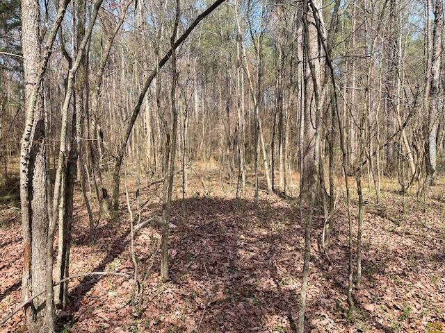 0 Southeast Johnson Road Cleveland, TN 37323 - Photo 17 of 23 more paths
