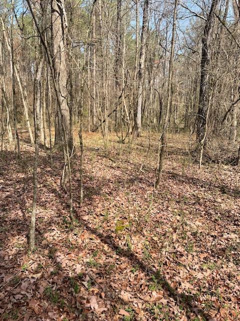 0 Southeast Johnson Road Cleveland, TN 37323 - Photo 18 of 23 more paths